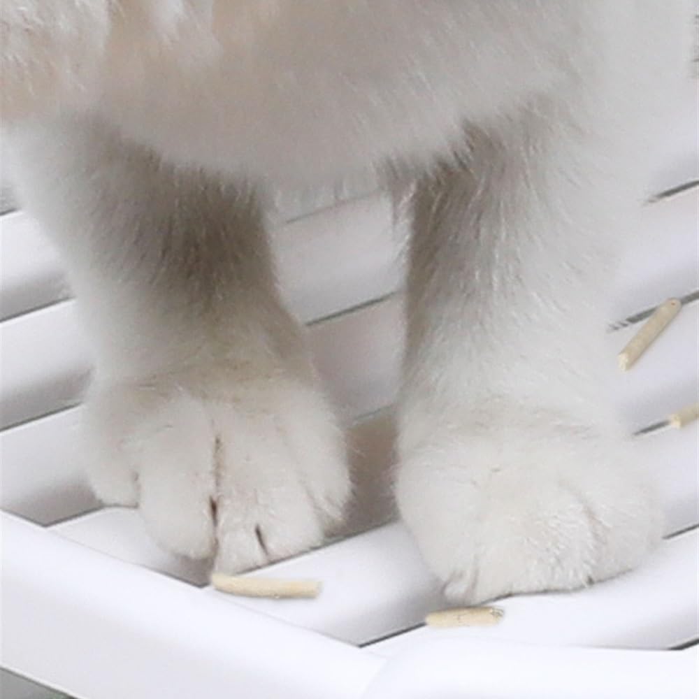 Enclosed Top-Entry Cat Litter Box with Scoop G8348