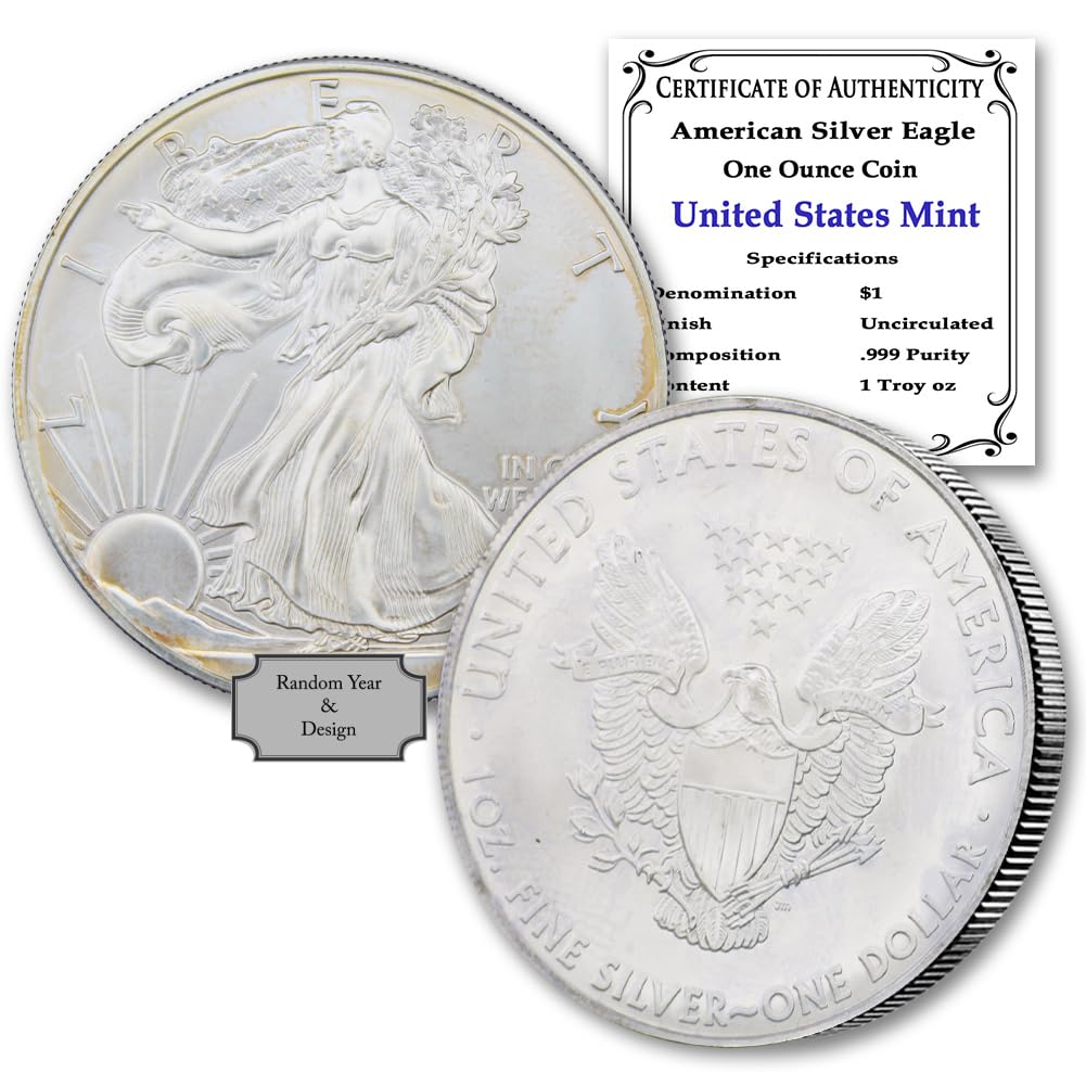 1 oz American Silver Eagle Coin D2476