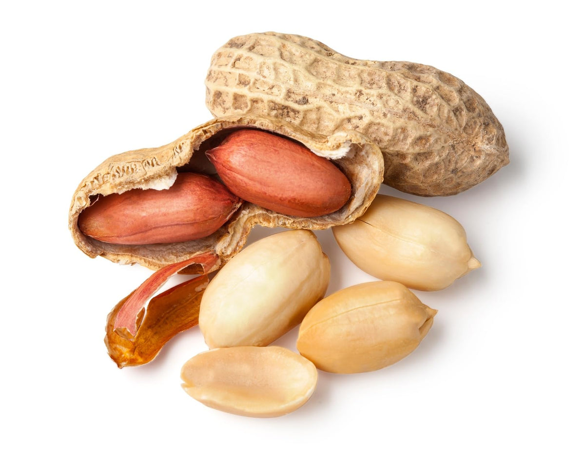 Whole in Shell Raw Peanuts 2.5 Pounds B7925