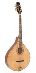 Octave Mandolin P46975