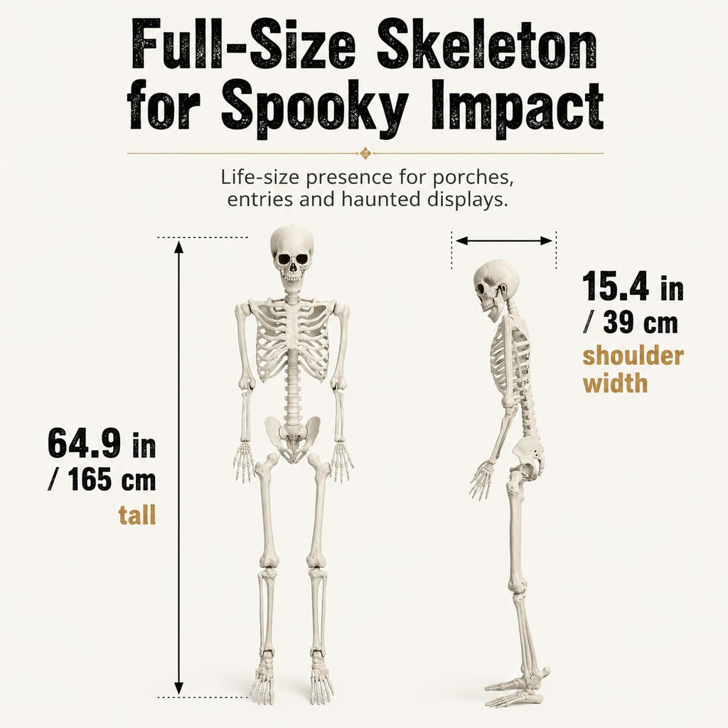 5.4 FT Poseable Skeleton P20656