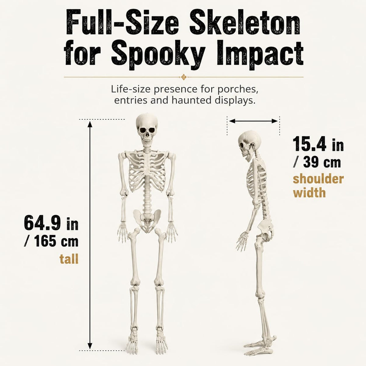 5.4 FT Poseable Skeleton P20656