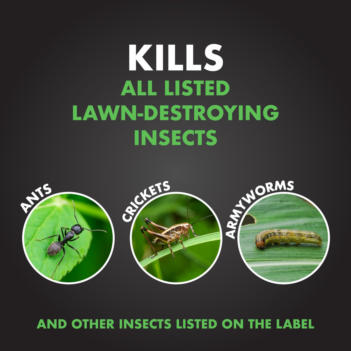 20 lb Granules Insect Killer K304468