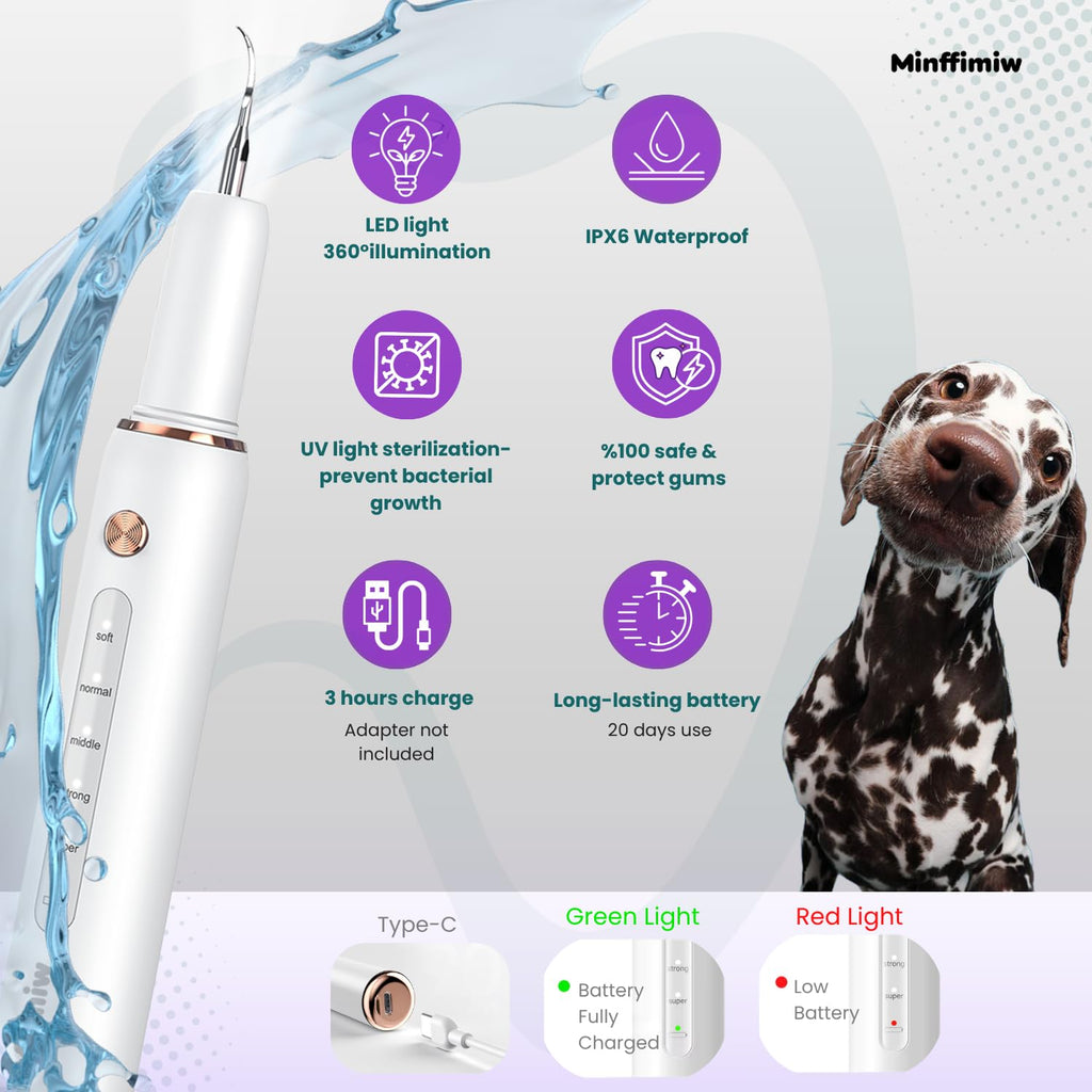Dog Teeth Cleaning Kit with LED Light O991