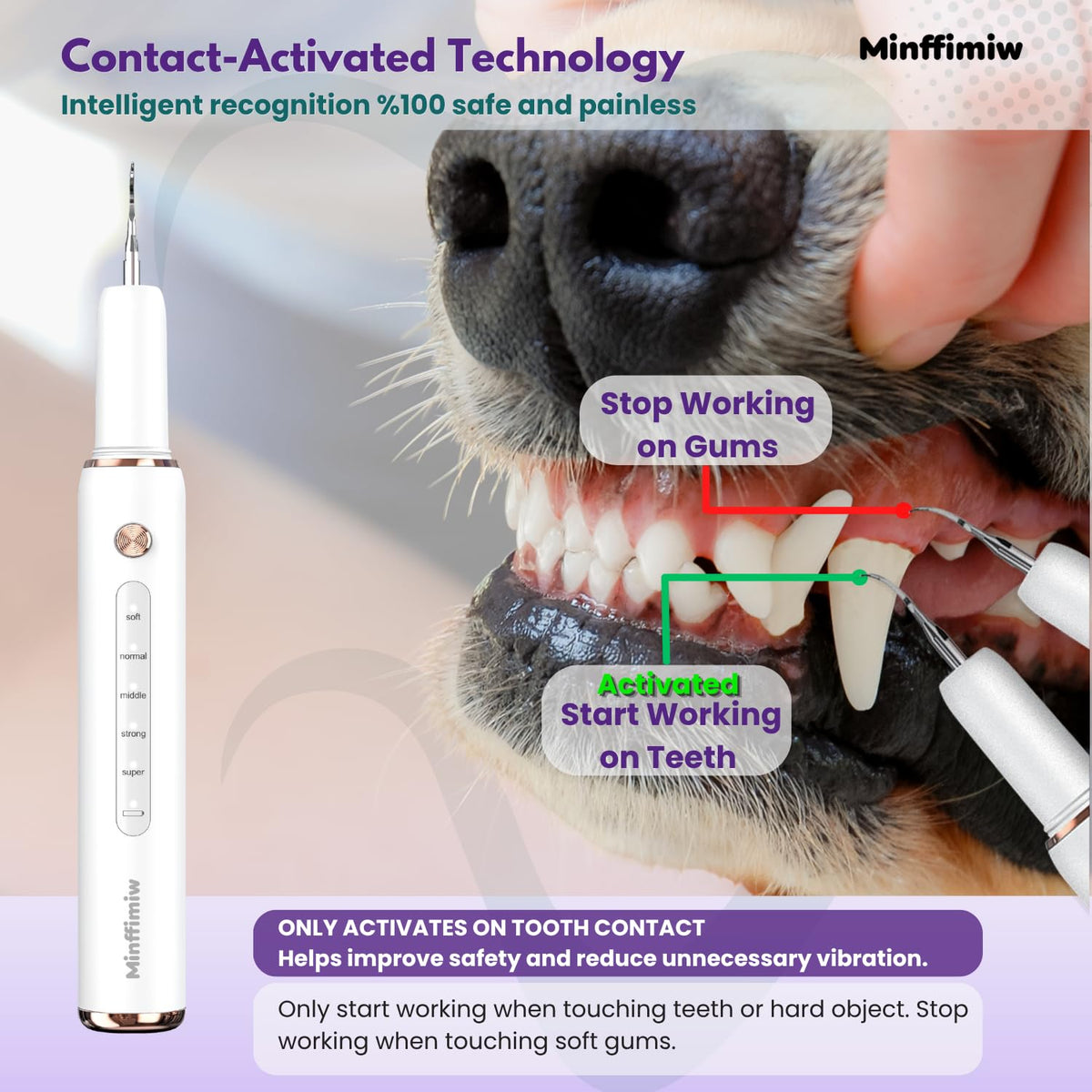 Dog Teeth Cleaning Kit with LED Light O991
