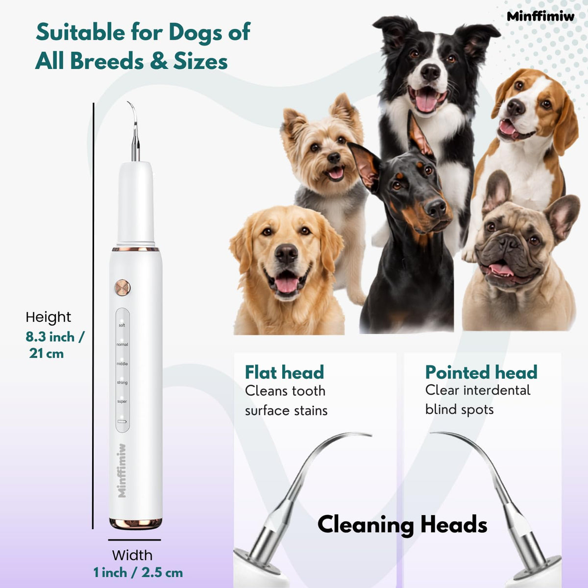 Dog Teeth Cleaning Kit with LED Light O991