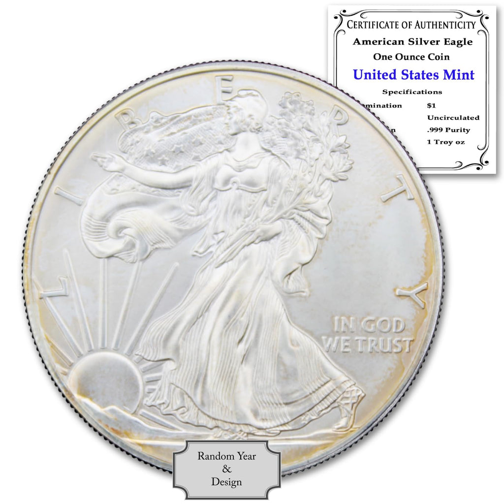 1 oz American Silver Eagle Coin D2476