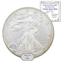 1 oz American Silver Eagle Coin D2476