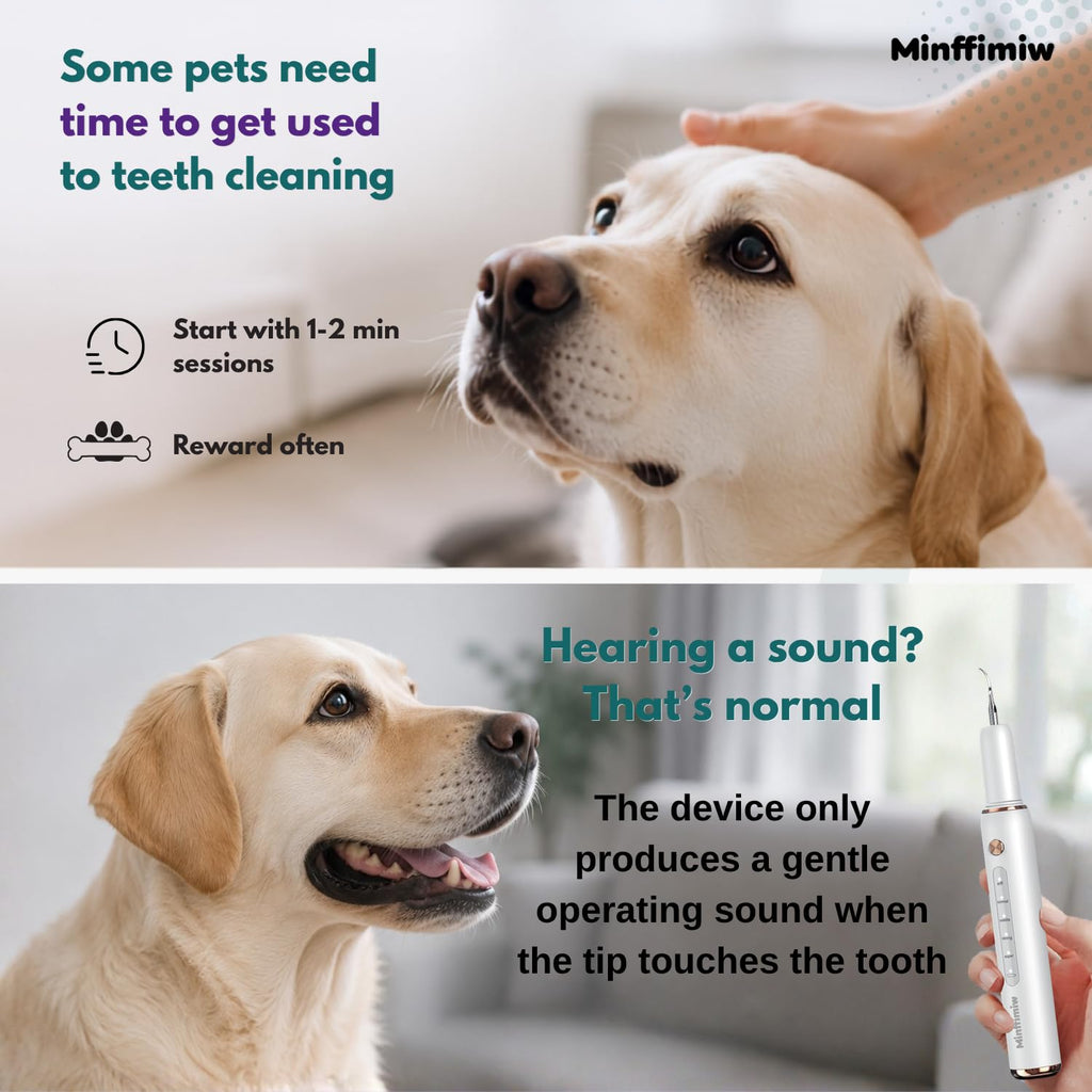 Dog Teeth Cleaning Kit with LED Light O991