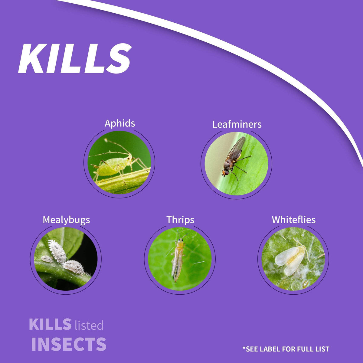 1 lb Insect Killer Granules H6900