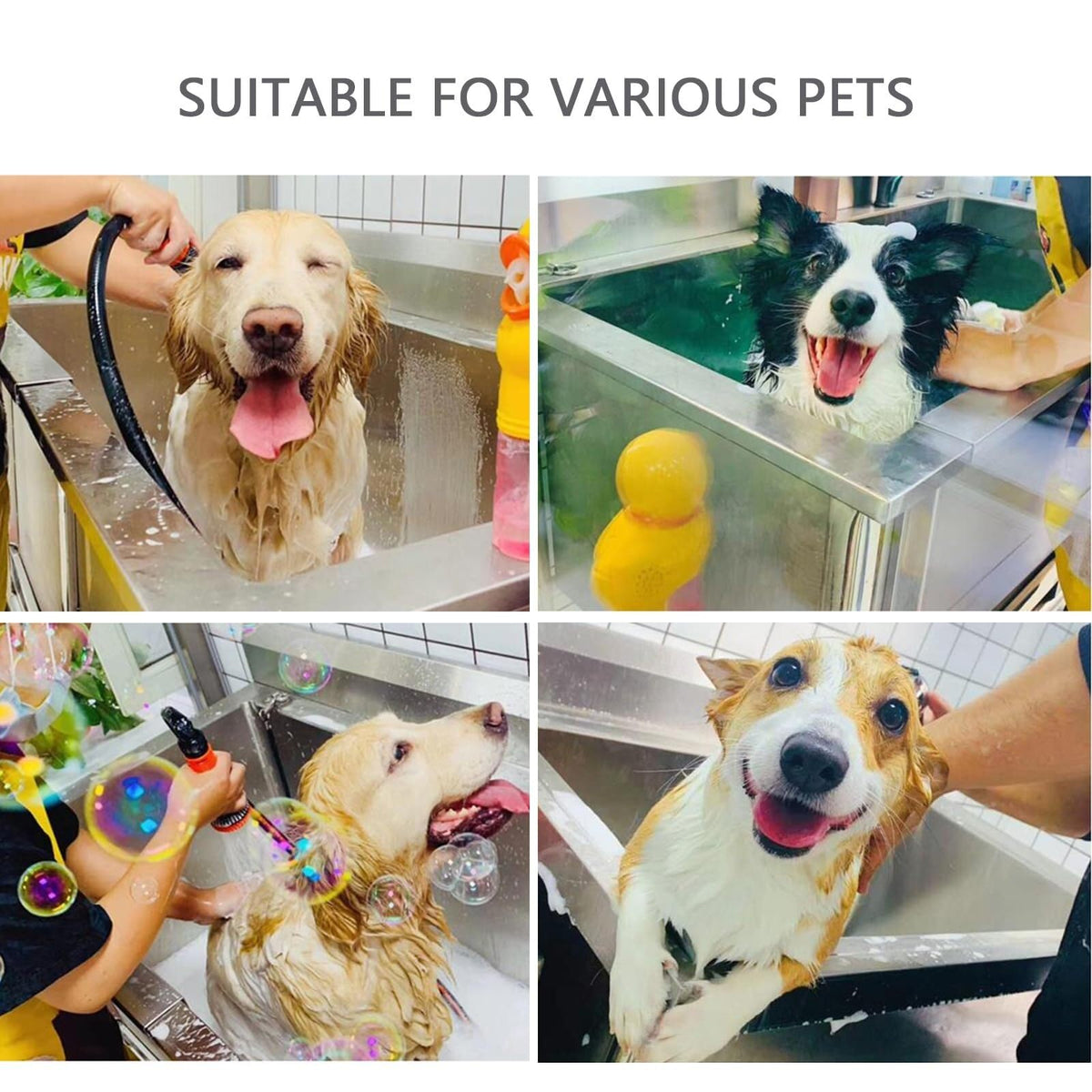Stainless Steel Dog Grooming Tub with Sliding Door P432182