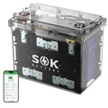 12V 100Ah LiFePO4 Marine Battery BCI Group 24 D8007