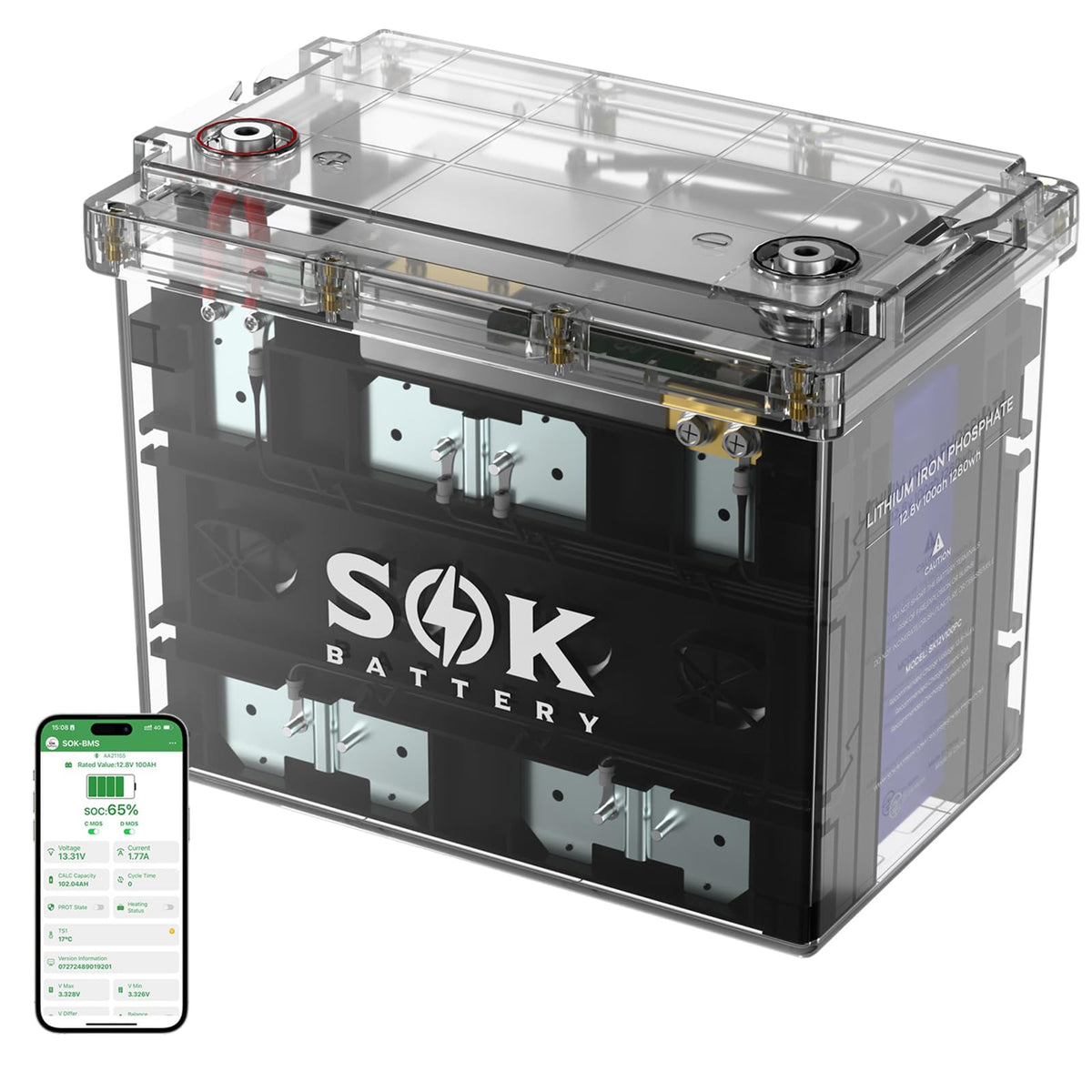 12V 100Ah LiFePO4 Marine Battery BCI Group 24 D8007