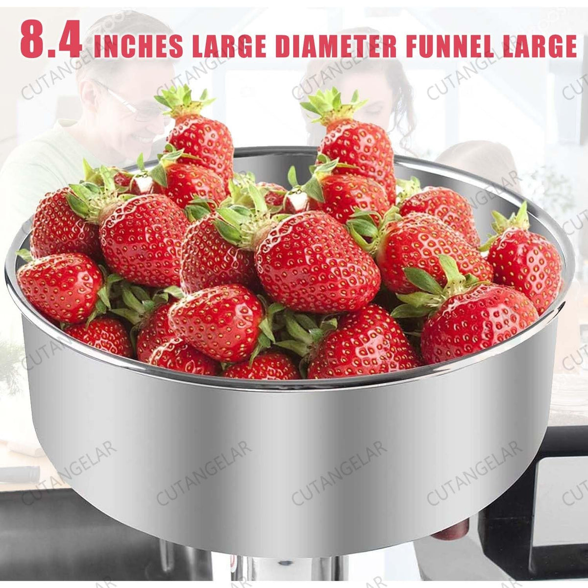 450W Stainless Steel Food Juicer Y956