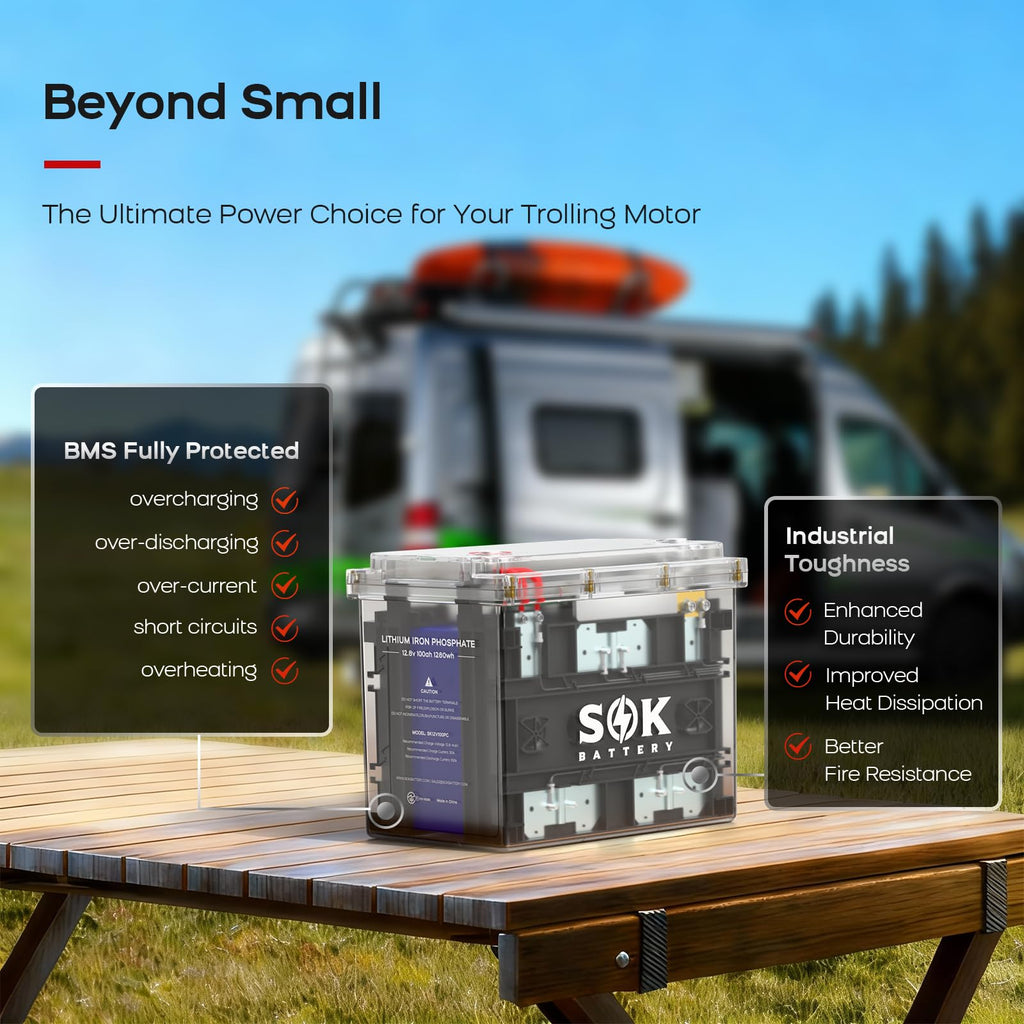 12V 100Ah LiFePO4 Marine Battery BCI Group 24 D8007