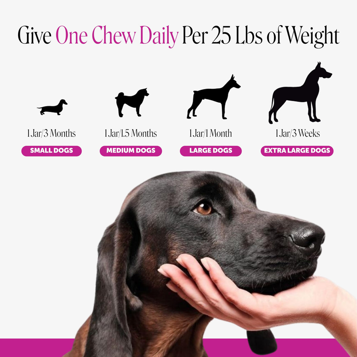 90 Ct Dog Multivitamin O5145