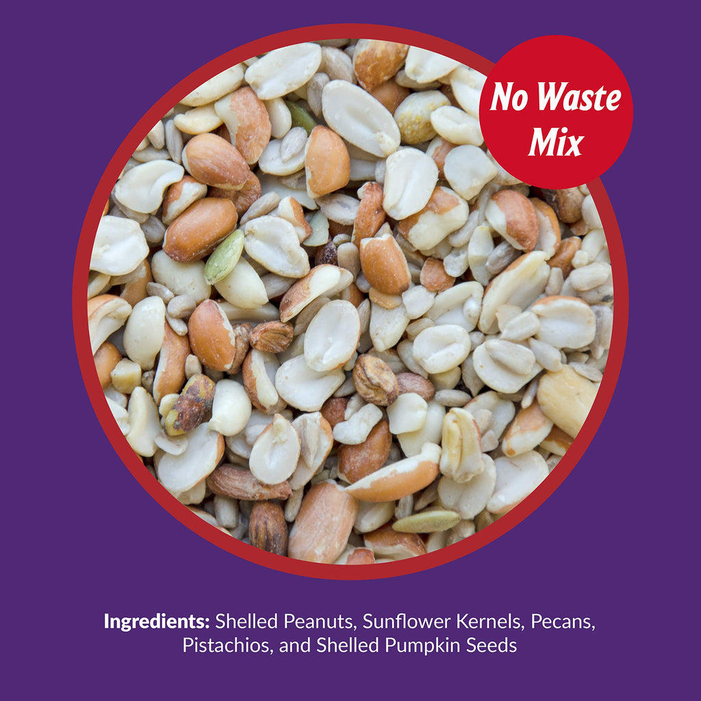 Fruit and Nut Wild Bird Seed Mix 20 lbs R159