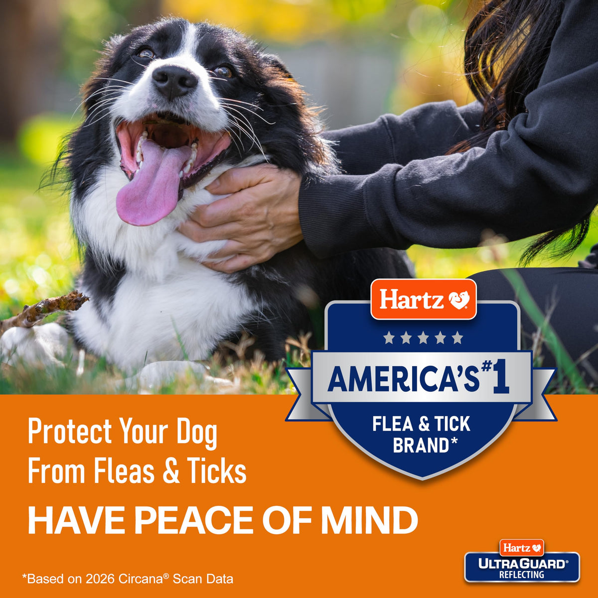 Flea & Tick Collar for Dogs and Puppies X7412
