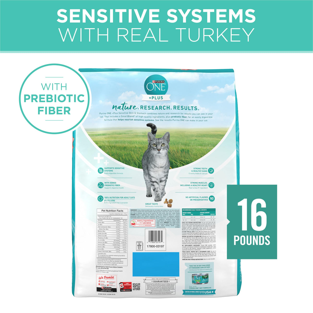 Sensitive Skin and Stomach Dry Cat Food 16 lb Bag Z792672