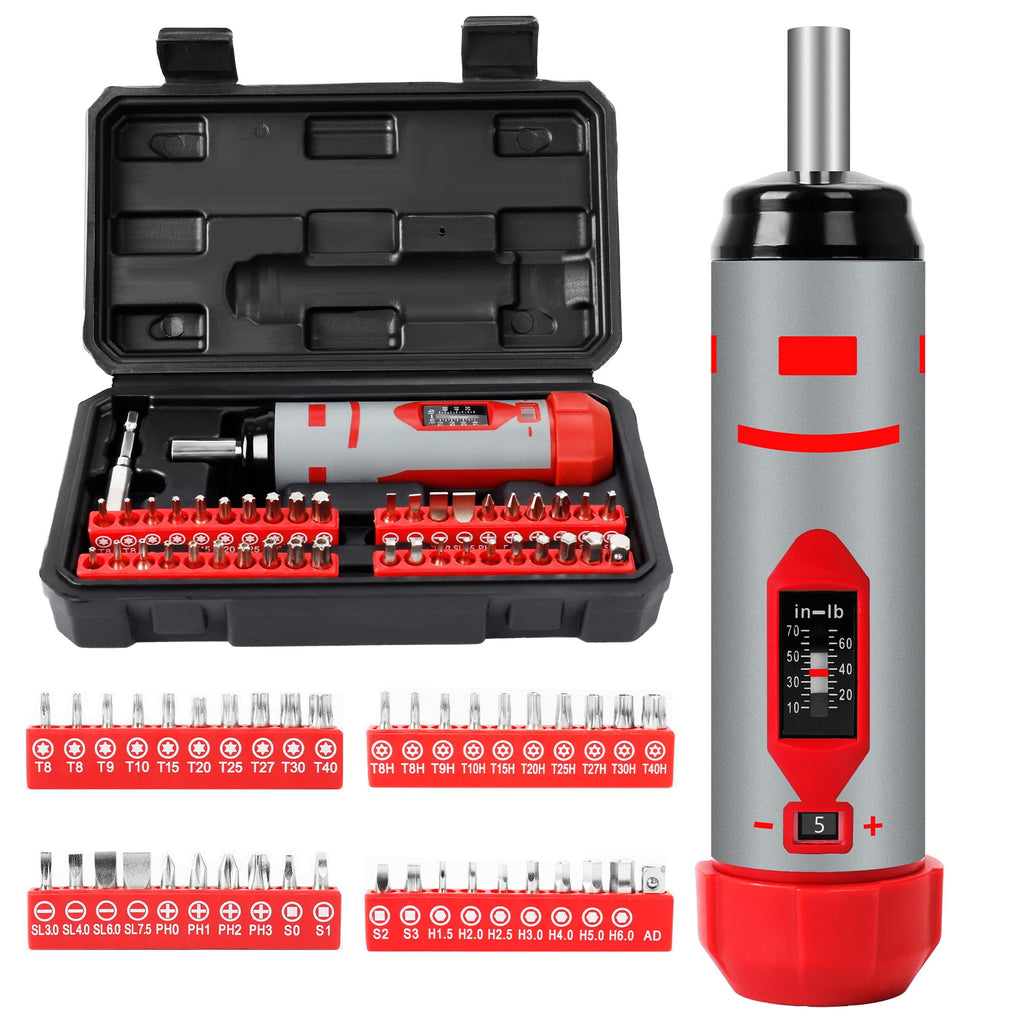 42-Piece Torque Screwdriver Set with 40 CR-V Bits L79716