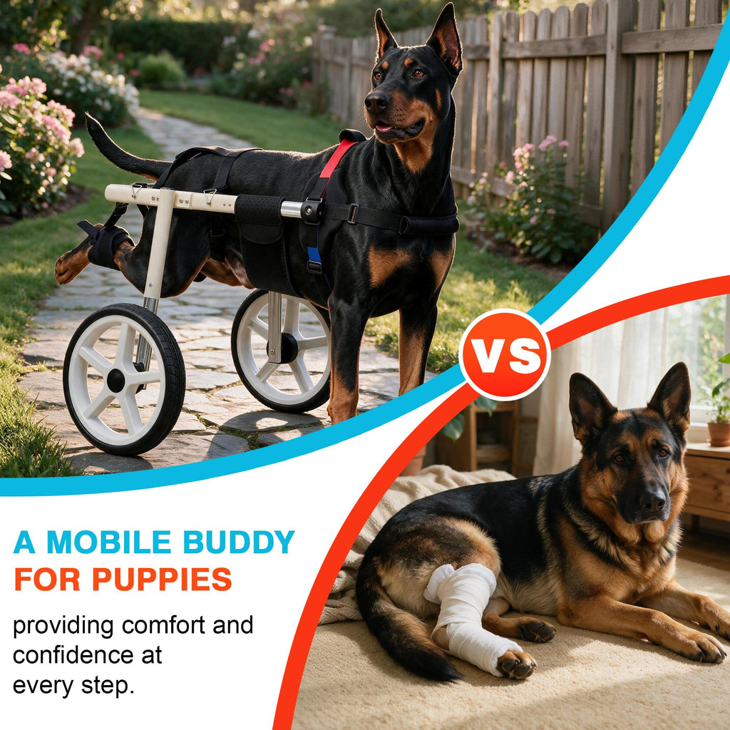 Adjustable Large Dog Wheelchair M827