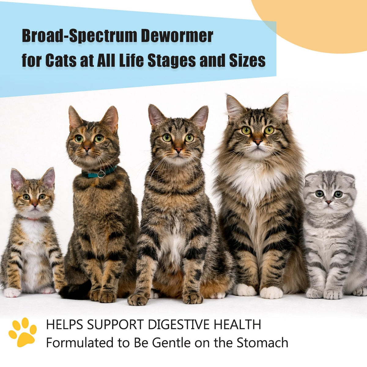 Dewormer for Cats and Kittens X652078