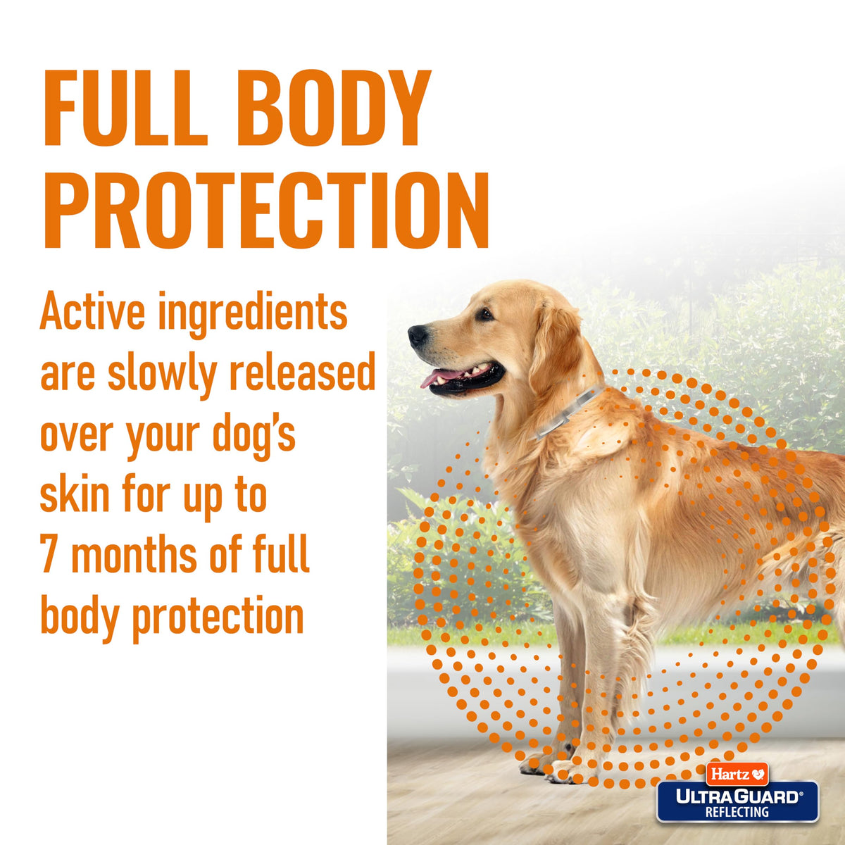 Flea & Tick Collar for Dogs and Puppies X7412