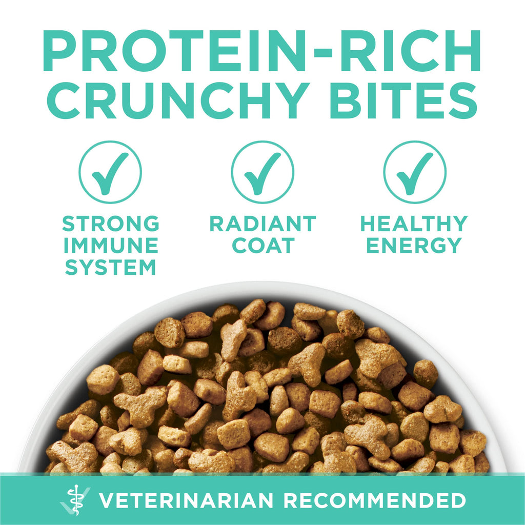 Sensitive Skin and Stomach Dry Cat Food 16 lb Bag Z792672