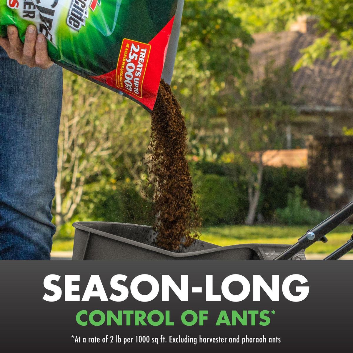 20 lb Granules Insect Killer K304468