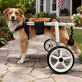 Adjustable Large Dog Wheelchair M827